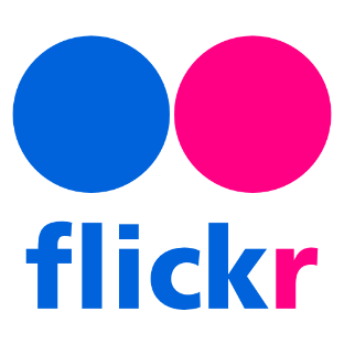 Flickr-video-downloader
